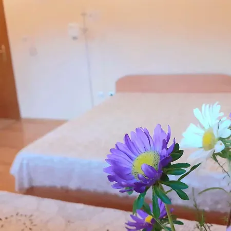 Cosy Studio In Downtown Apartament Bansko