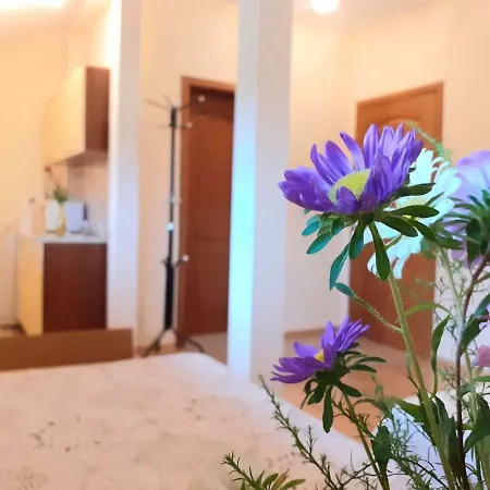 Apartament Cosy Studio In Downtown